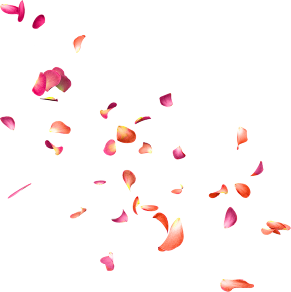 MarQue Rose Petals